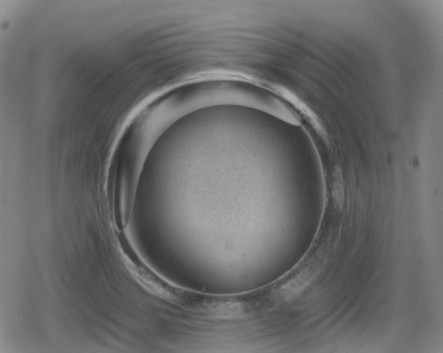 X0000080201372200612081416