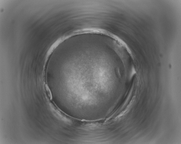 X0000080201373200612081416