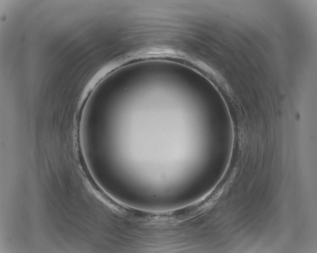 X0000080201374200612081416