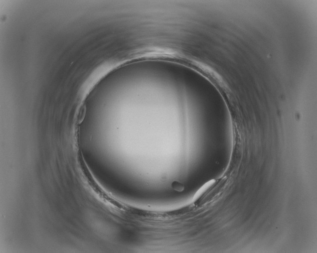 X0000080201375200612081416