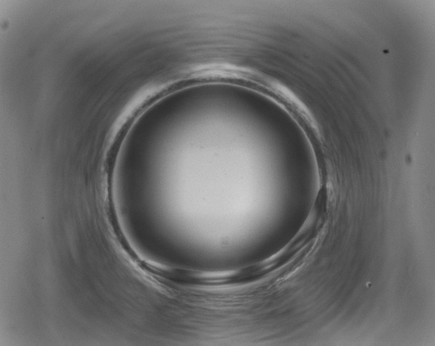 X0000080201376200612081416