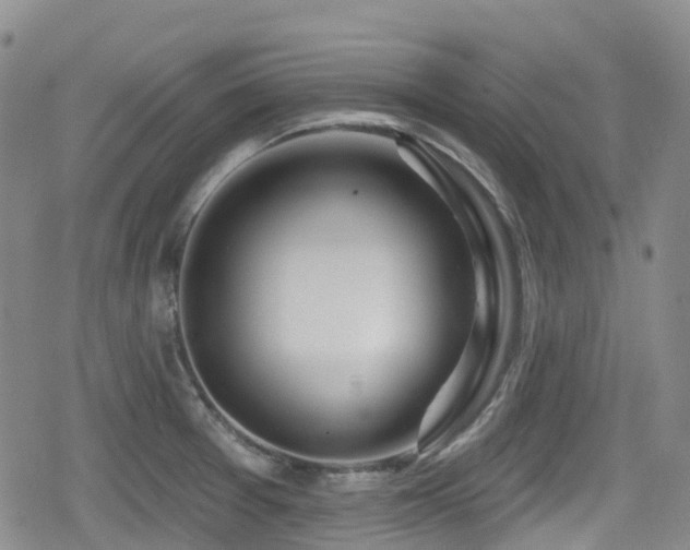 X0000080201377200612081416