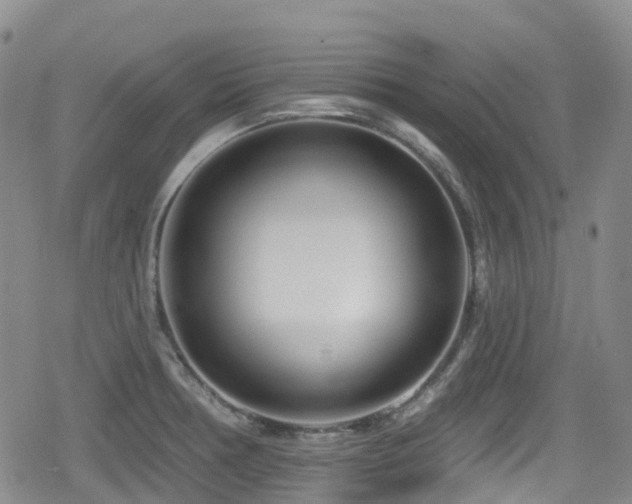 X0000080201378200612081416