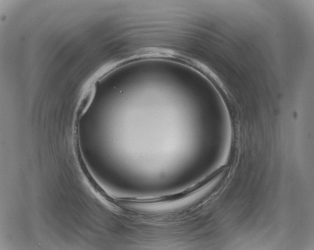 X0000080201379200612081416