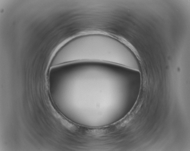 X0000080201380200612081416