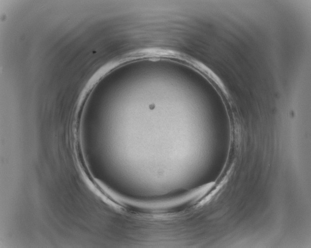 X0000080201381200612081416