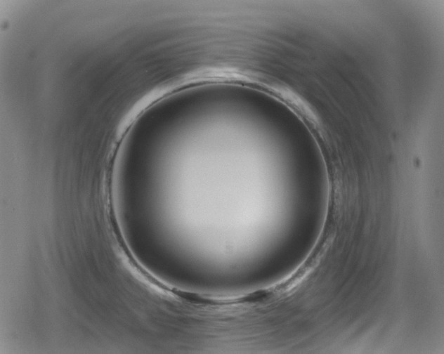 X0000080201382200612081416