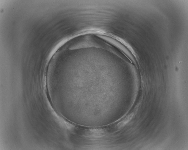 X0000080201383200612081416