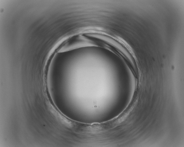 X0000080201384200612081416