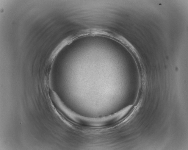 X0000080201385200612081416