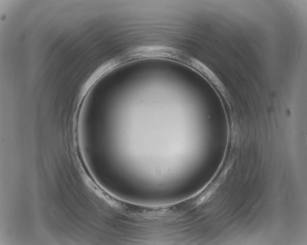 X0000080201386200612081416