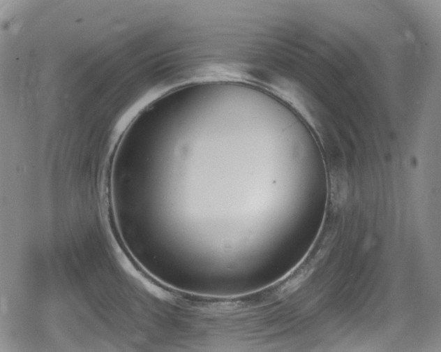 X0000080201387200612081416