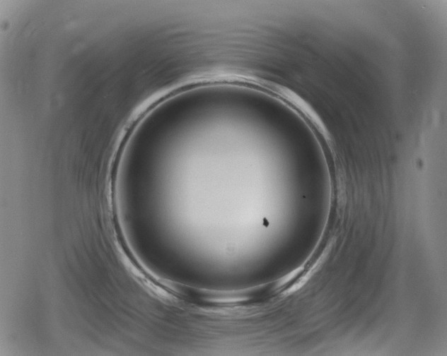 X0000080201388200612081416