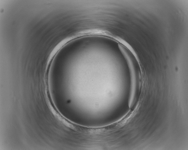 X0000080201389200612081416