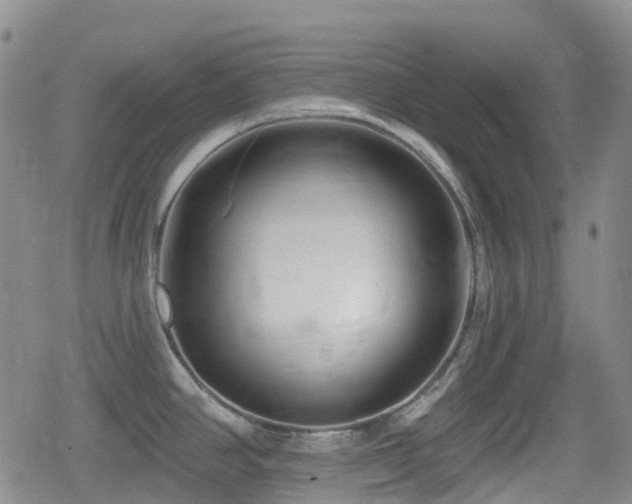 X0000080201390200612081416