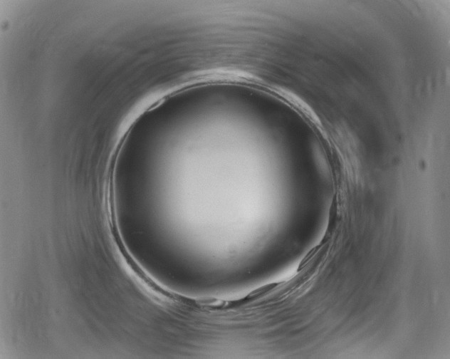 X0000080201391200612081416