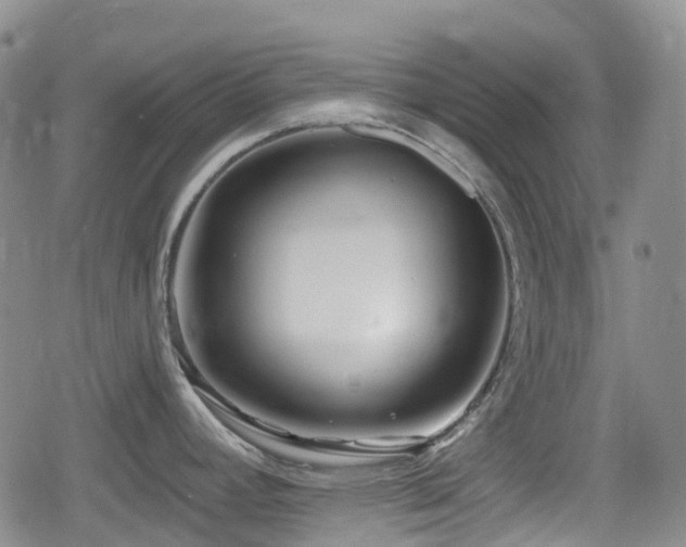 X0000080201392200612081416