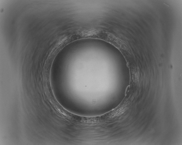 X0000080201393200612081415
