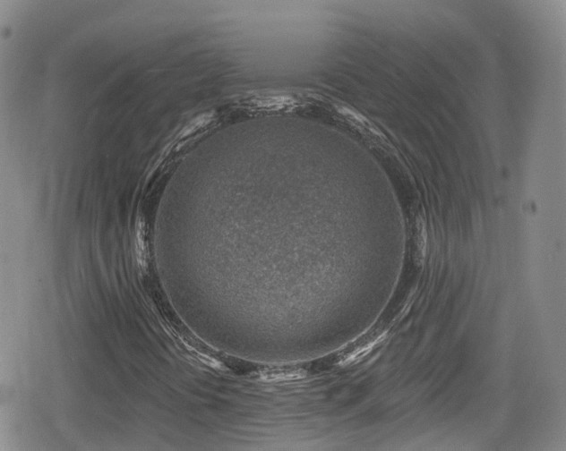 X0000080201394200612081415