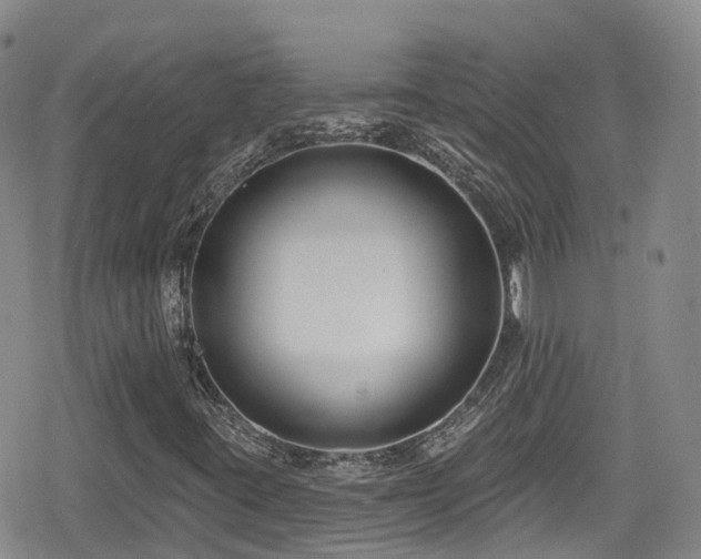 X0000080201395200612081415