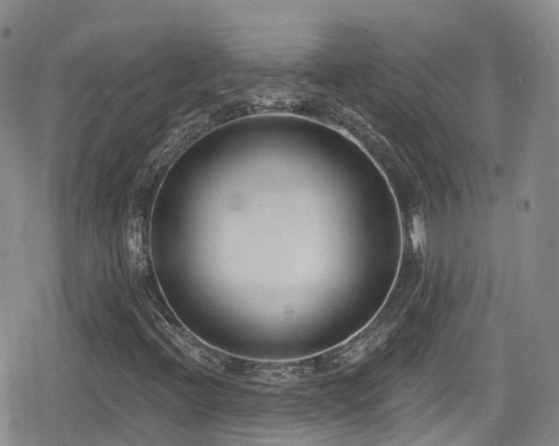 X0000080201396200612081415