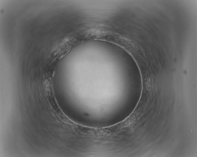 X0000080201397200612081415