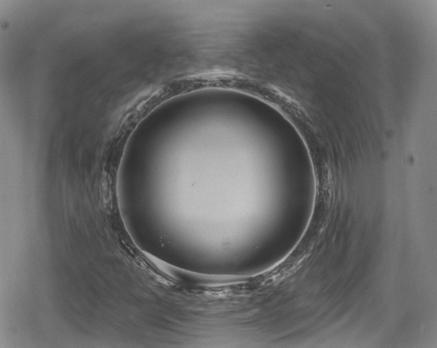 X0000080201398200612081415