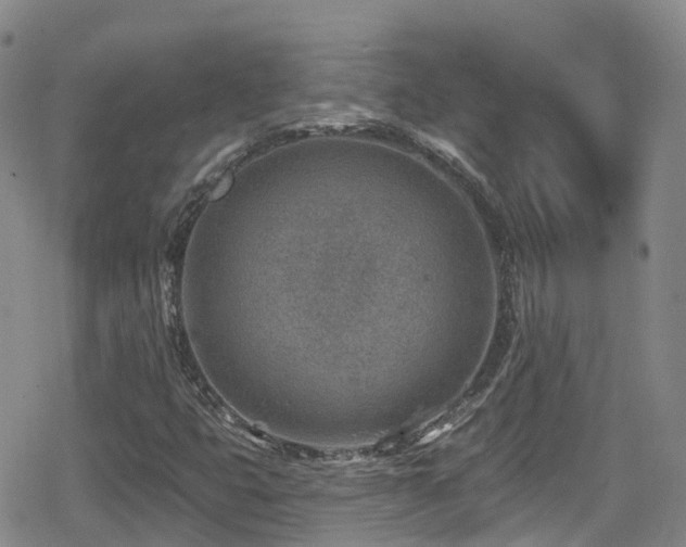 X0000080201399200612081415