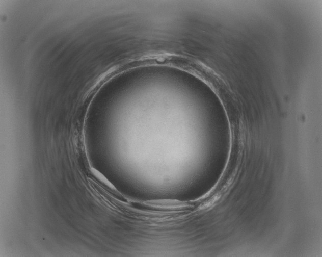 X0000080201401200612081416