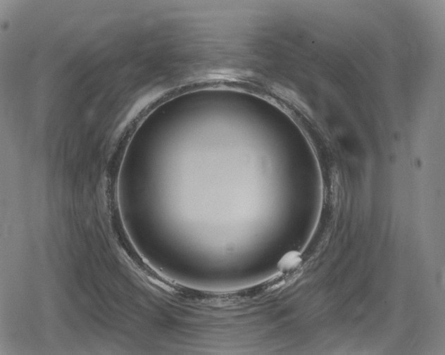 X0000080201404200612081416