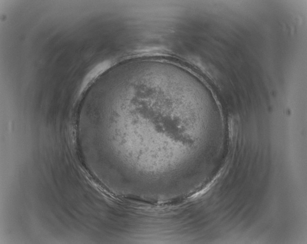 X0000080201405200612081416