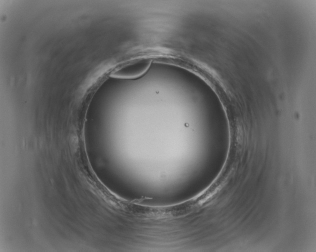 X0000080201407200612081416