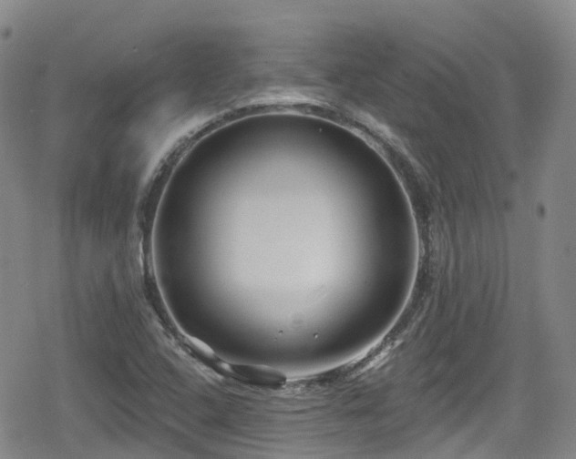 X0000080201408200612081416