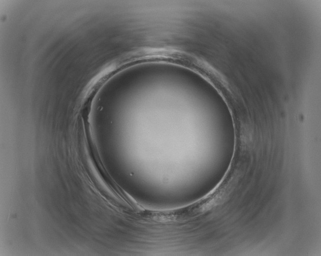 X0000080201411200612081416