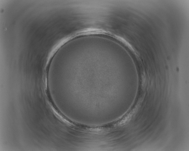 X0000080201413200612081416