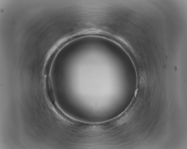 X0000080201414200612081416