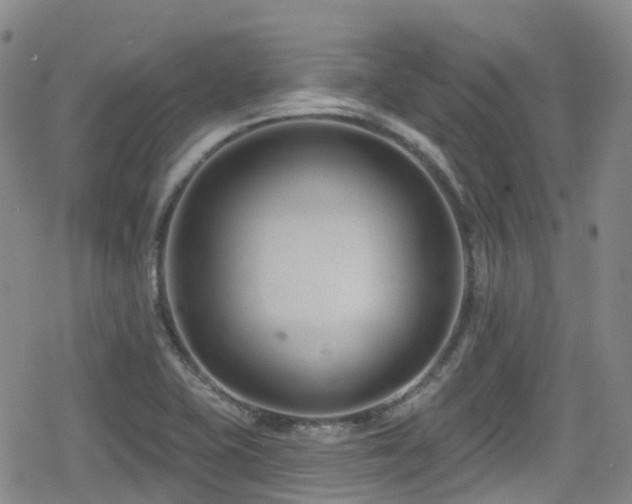 X0000080201415200612081416