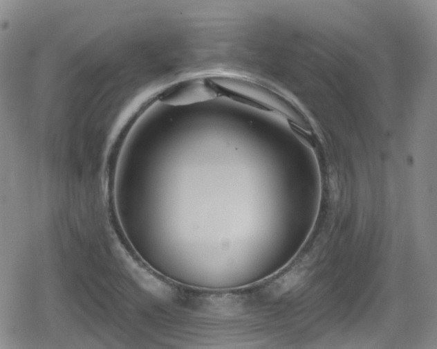 X0000080201416200612081416