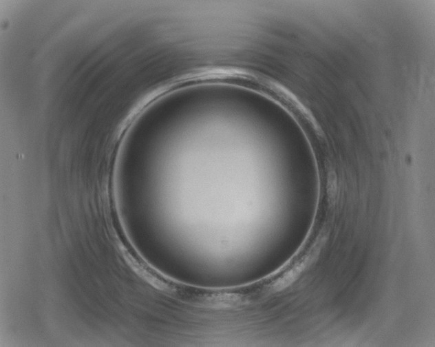 X0000080201417200612081416