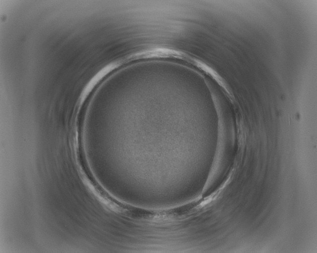 X0000080201418200612081416