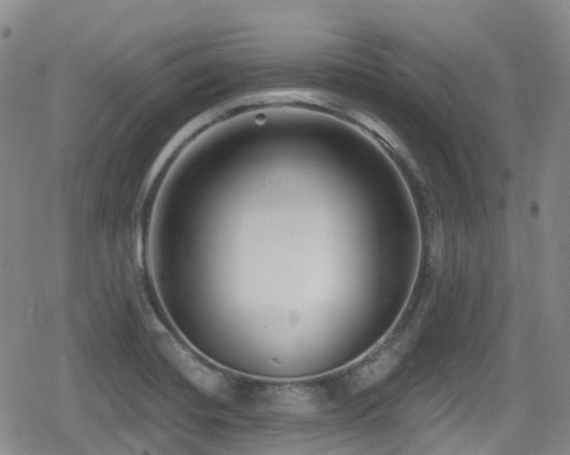 X0000080201420200612081416