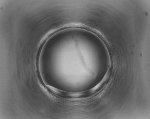 X0000080201422200612081416