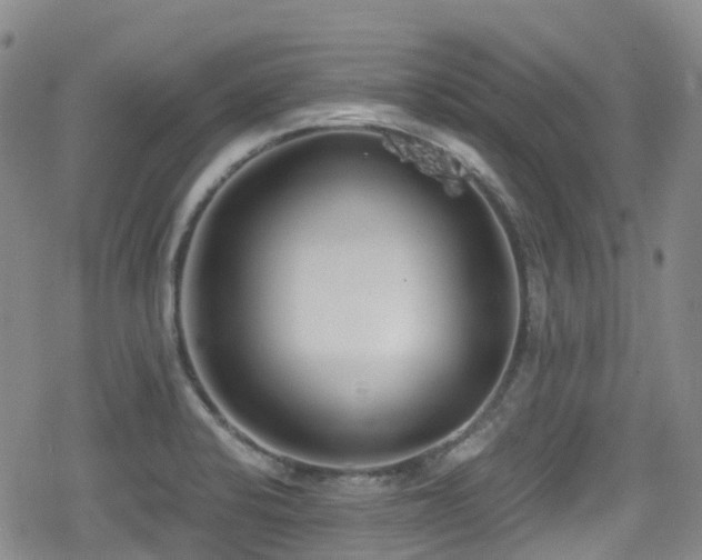 X0000080201424200612081416