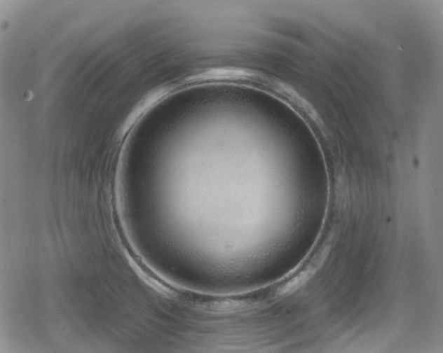 X0000080201425200612081416