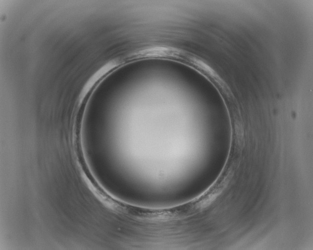 X0000080201426200612081416