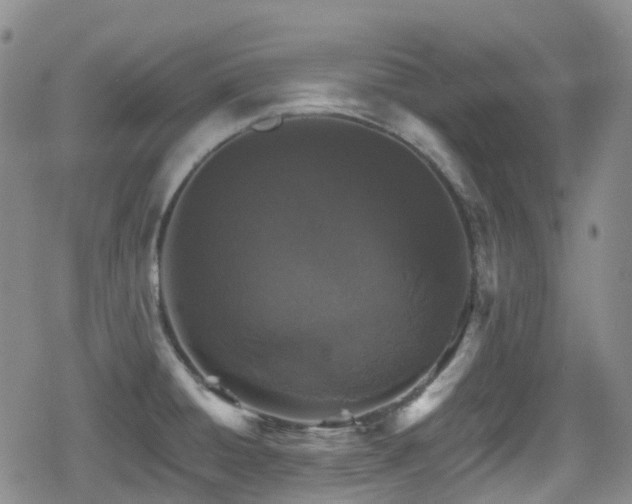 X0000080201428200612081416