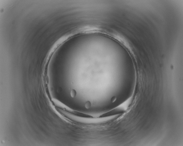 X0000080201429200612081416