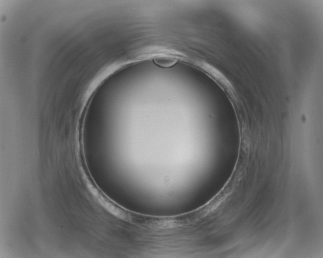 X0000080201431200612081416