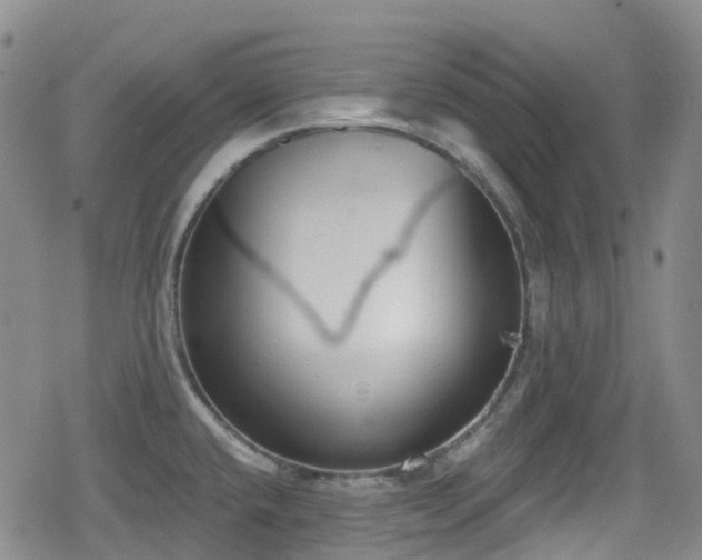 X0000080201432200612081416