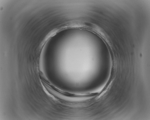 X0000080201433200612081416